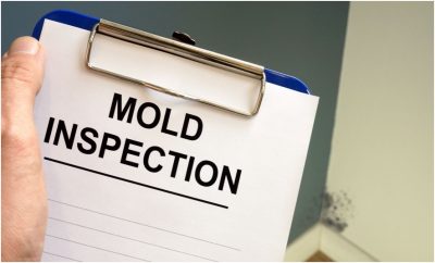 Mold inspection process explained