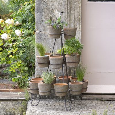 Indoor Plant Displays